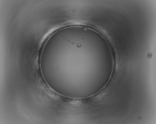 X0000113051174200908271524