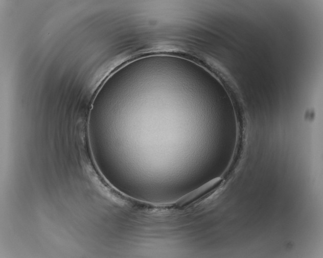X0000113051177200908271523