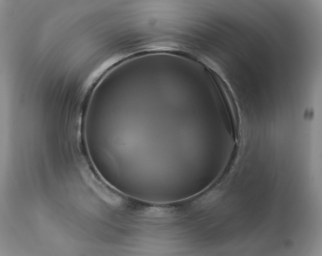 X0000113051179200908271523