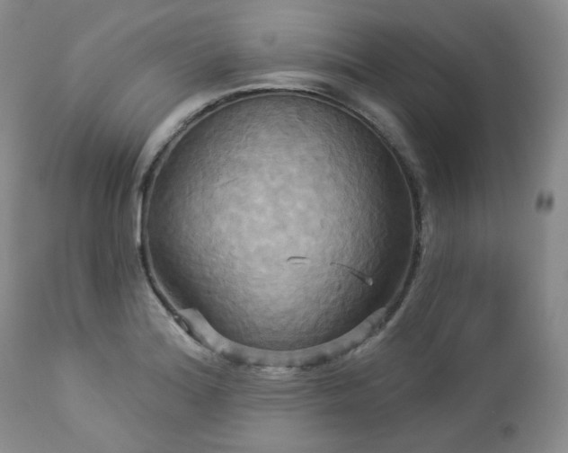 X0000113051180200908271523