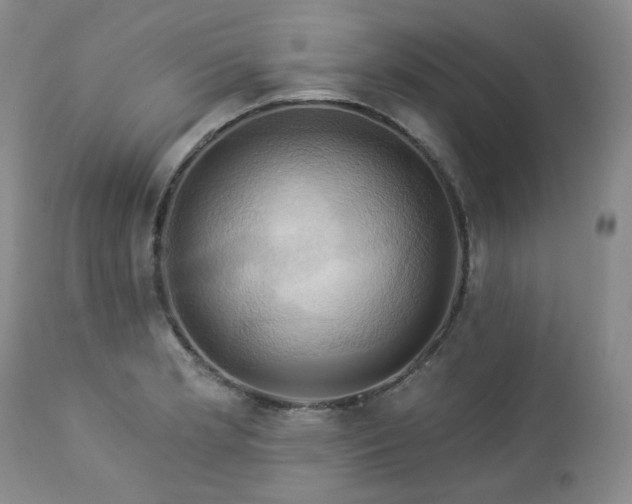 X0000113051181200908271523