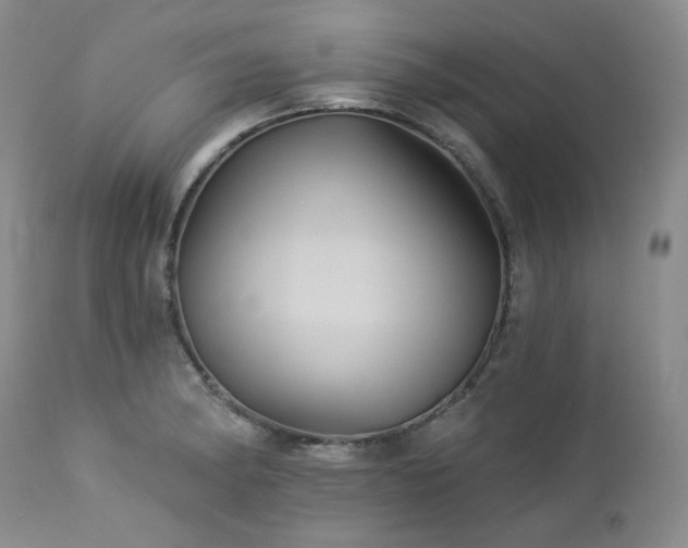 X0000113051182200908271523