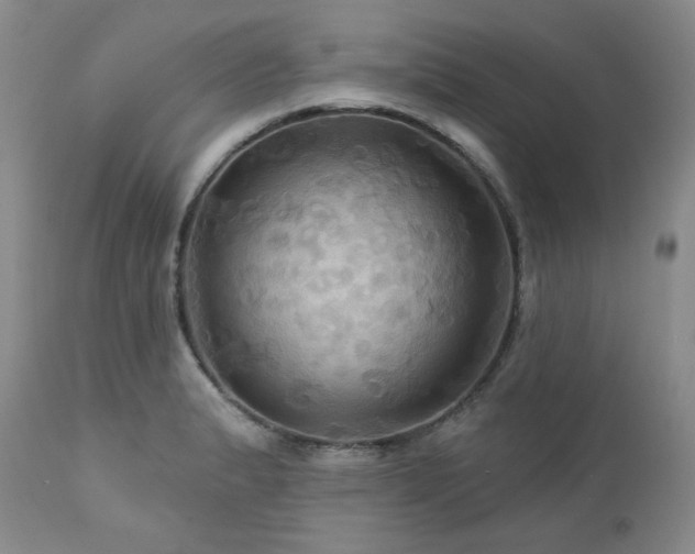 X0000113051183200908271523