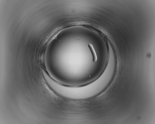 X0000113051185200908271523
