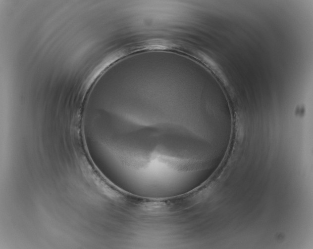 X0000113051186200908271523