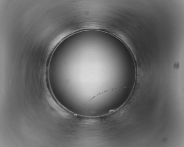X0000113051187200908271523