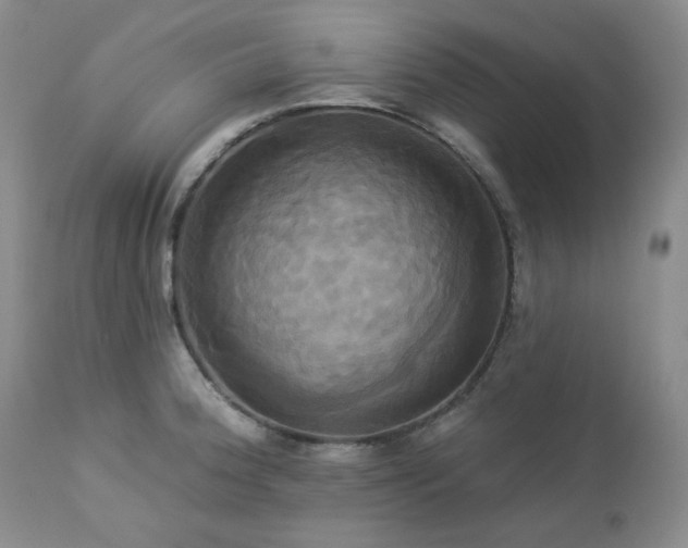 X0000113051188200908271523