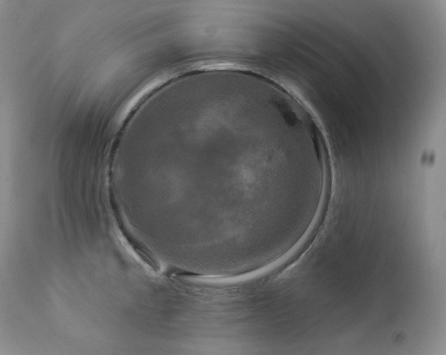 X0000113051189200908271523