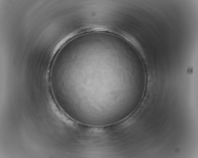 X0000113051190200908271523