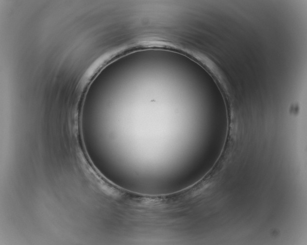X0000113051191200908271523