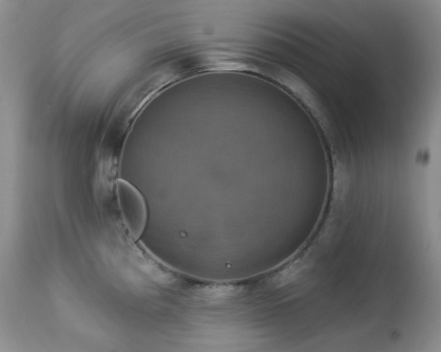 X0000113051193200908271523