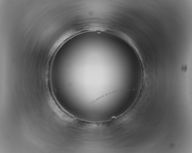 X0000113051195200908271523