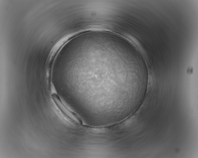 X0000113051196200908271523