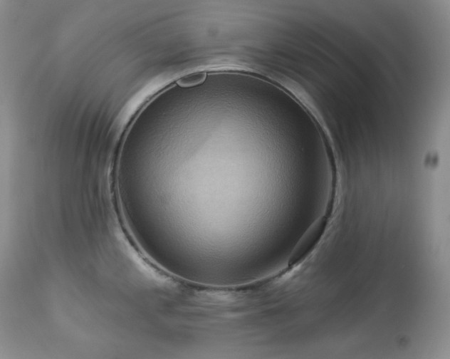 X0000113051197200908271523