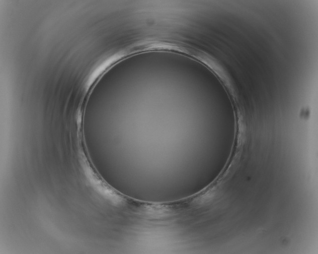 X0000113051198200908271523