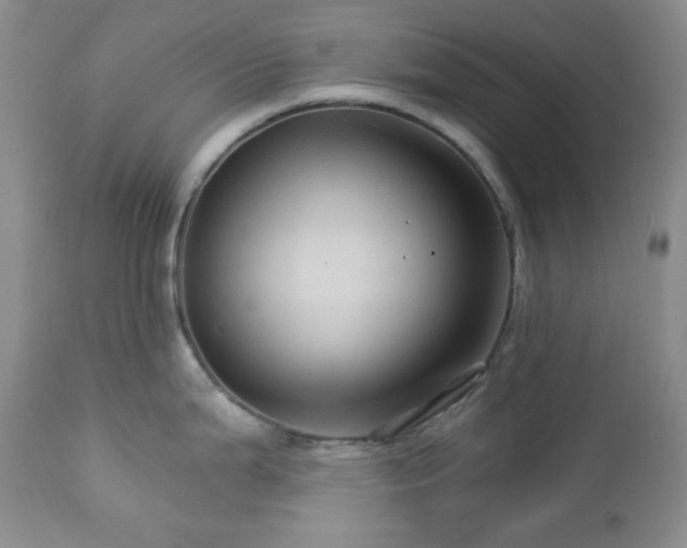 X0000113051199200908271523