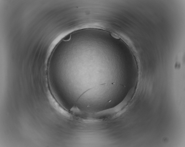 X0000113051200200908271523