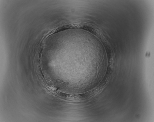 X0000113051201200908271522