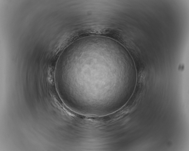 X0000113051202200908271522