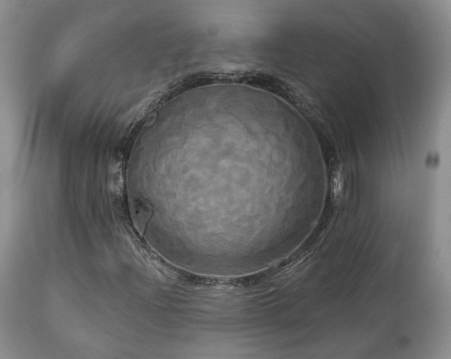 X0000113051204200908271522