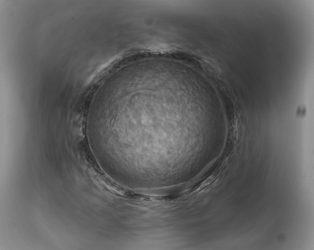 X0000113051205200908271522