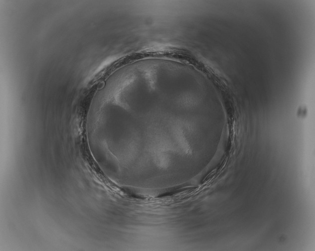 X0000113051206200908271522