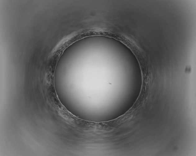 X0000113051207200908271522
