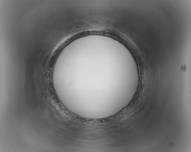 X0000113051208200908271522
