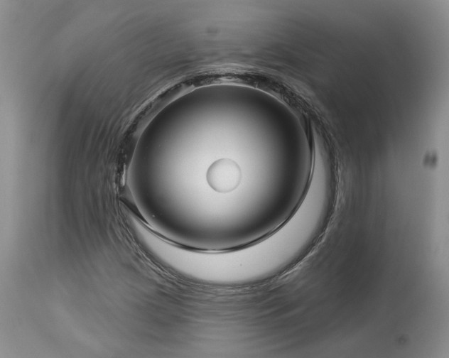 X0000113051209200908271522