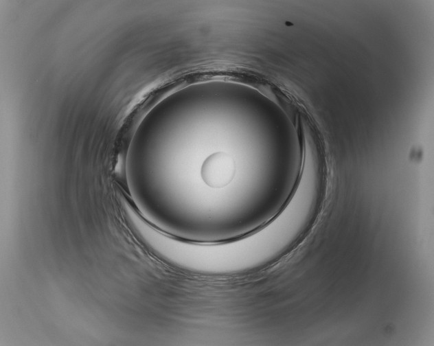 X0000113051210200908271522