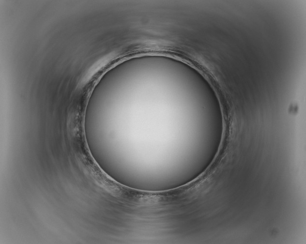 X0000113051211200908271522