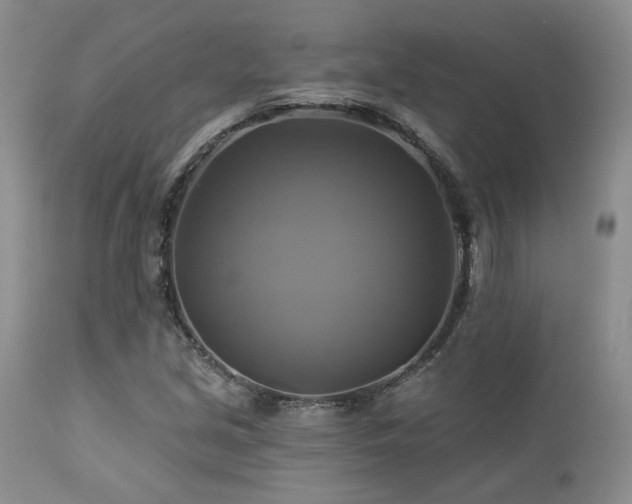 X0000113051213200908271522