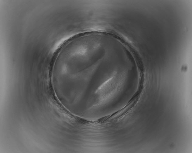 X0000113051214200908271522