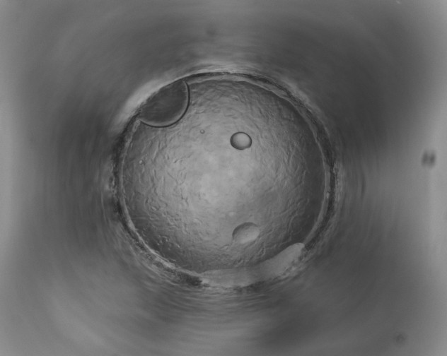 X0000113051215200908271522