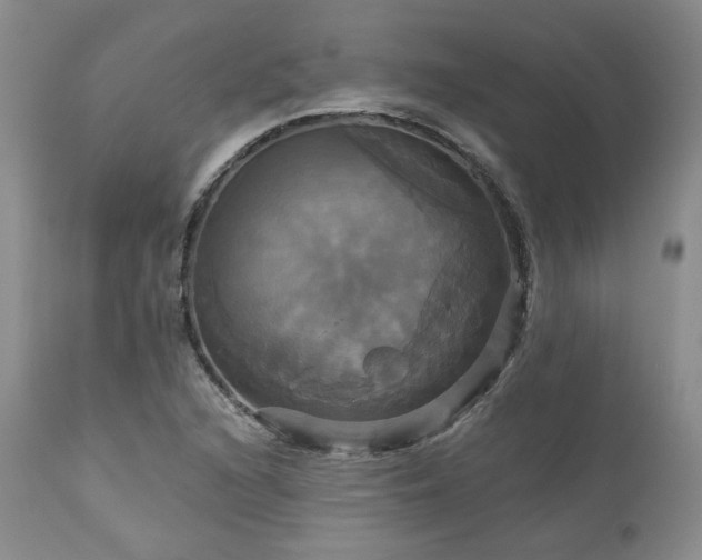 X0000113051216200908271522