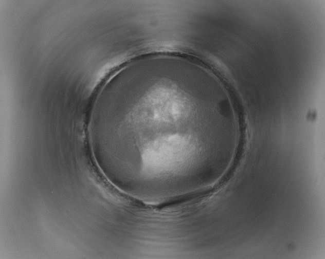 X0000113051218200908271522