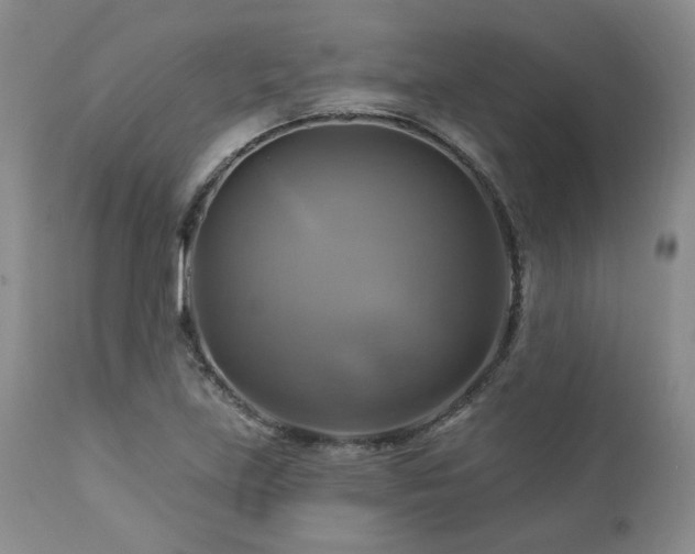 X0000113051219200908271522