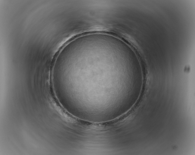 X0000113051220200908271522
