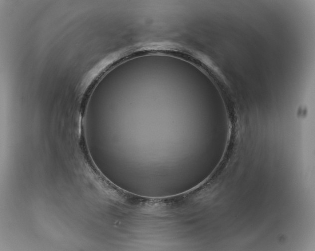 X0000113051221200908271522