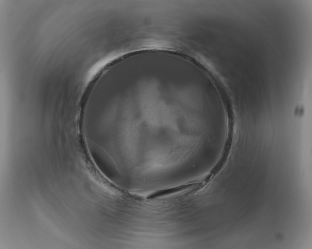 X0000113051222200908271522