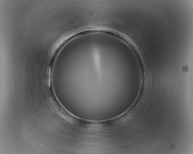 X0000113051223200908271522
