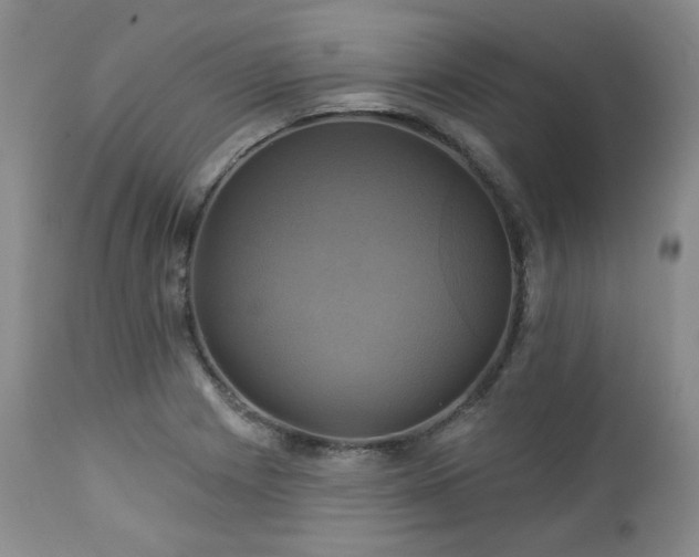 X0000113051225200908271522