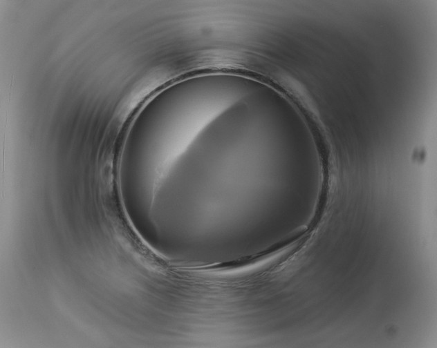 X0000113051226200908271522
