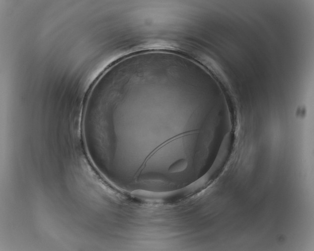 X0000113051228200908271522