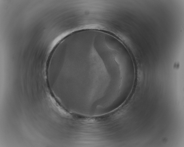 X0000113051230200908271522