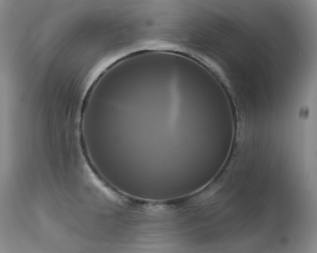 X0000113051231200908271522