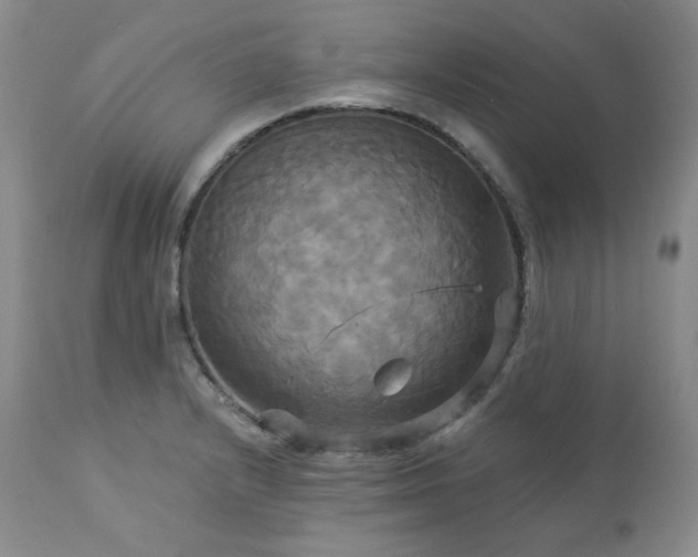 X0000113051232200908271523