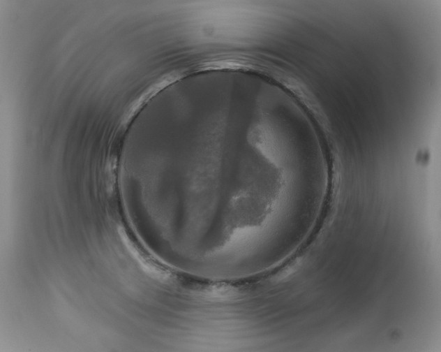 X0000113051233200908271523