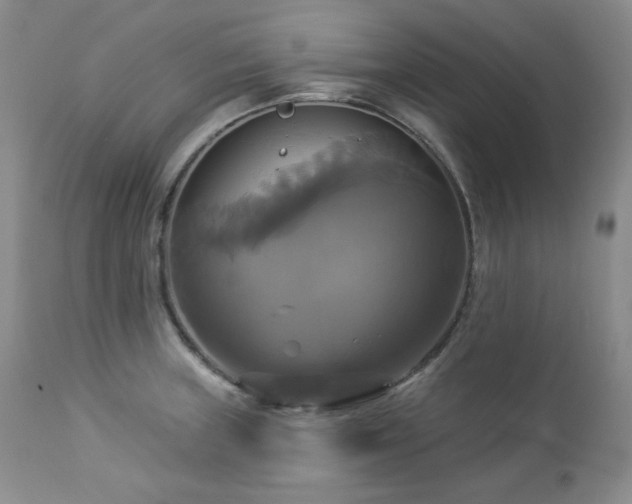 X0000113051235200908271523