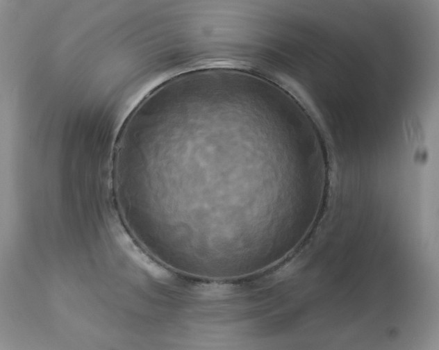 X0000113051236200908271523